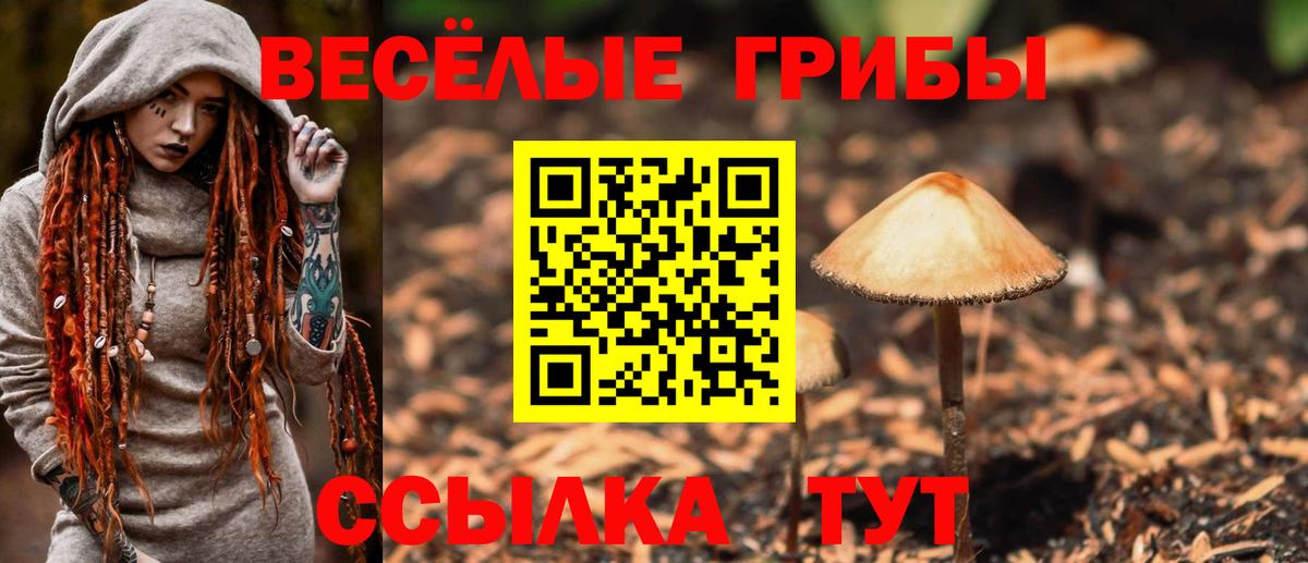Галлюциногенные грибы ЛСД  Вход с VPN  Псилоцибиновые грибы Cubensis  Свободный 